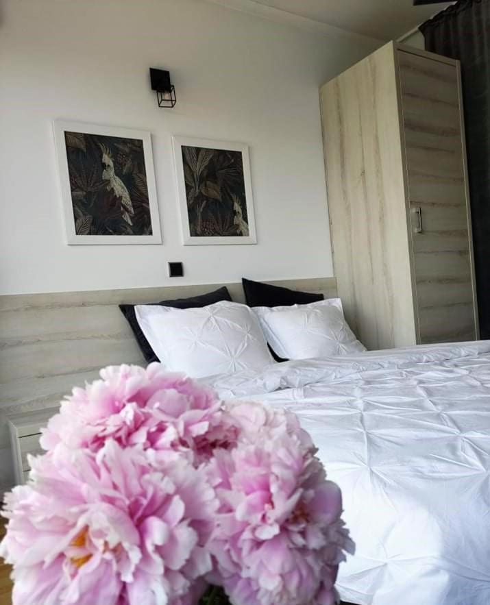 Apartment Apartamenty Czerwone Maki Wisla